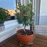 Parentium Town Apartman *