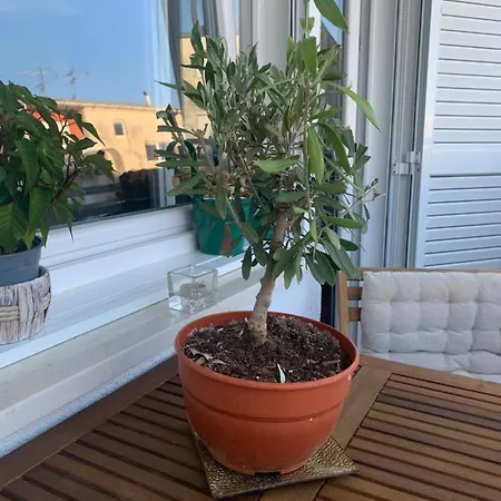 Parentium Town Apartman *