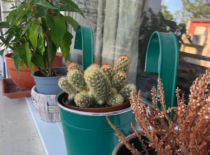 Apartamento Parentium Town *